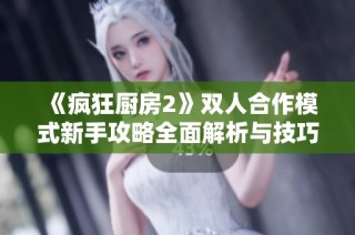 《疯狂厨房2》双人合作模式新手攻略全面解析与技巧分享