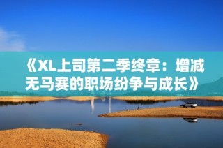 《XL上司第二季终章：增减无马赛的职场纷争与成长》