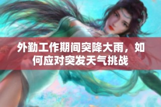 外勤工作期间突降大雨，如何应对突发天气挑战