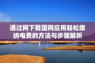 通过网下载国网应用轻松缴纳电费的方法与步骤解析