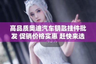 高品质奥迪汽车钥匙挂件批发 促销价格实惠 赶快来选购您的专属个性配件