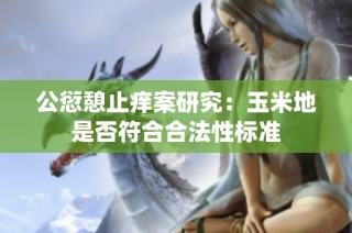 公愆憩止痒案研究：玉米地是否符合合法性标准