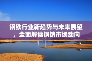 钢铁行业新趋势与未来展望，全面解读钢钠市场动向