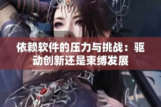 依赖软件的压力与挑战：驱动创新还是束缚发展