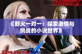 《野火一对一：探索激情与挑战的小说世界》