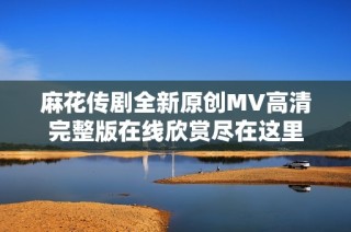 麻花传剧全新原创MV高清完整版在线欣赏尽在这里