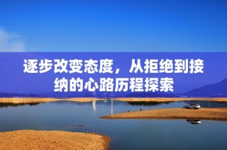 逐步改变态度，从拒绝到接纳的心路历程探索