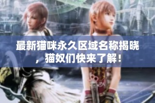 最新猫咪永久区域名称揭晓，猫奴们快来了解！