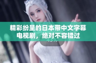 精彩纷呈的日本带中文字幕电视剧，绝对不容错过