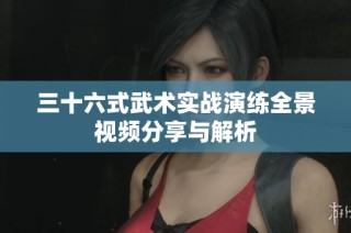 三十六式武术实战演练全景视频分享与解析