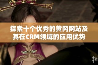 探索十个优秀的黄冈网站及其在CRM领域的应用优势