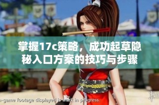 掌握17c策略，成功起草隐秘入口方案的技巧与步骤