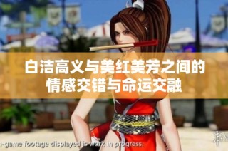 白洁高义与美红美芳之间的情感交错与命运交融