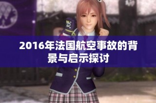 2016年法国航空事故的背景与启示探讨