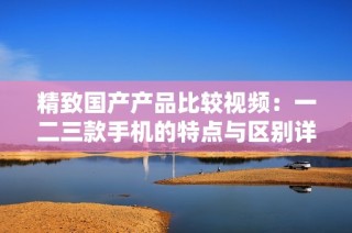 精致国产产品比较视频：一二三款手机的特点与区别详解