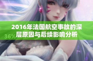 2016年法国航空事故的深层原因与后续影响分析