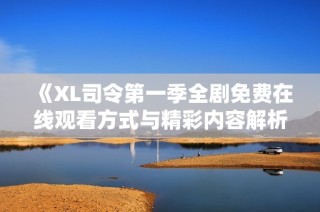 《XL司令第一季全剧免费在线观看方式与精彩内容解析》