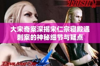 大宋奇案深揭宋仁宗寝殿遇刺案的神秘细节与疑点