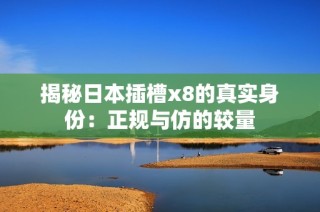揭秘日本插槽x8的真实身份：正规与仿的较量