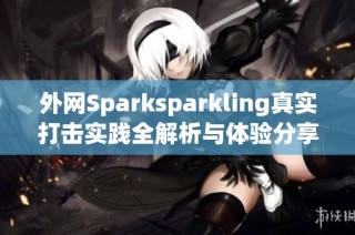 外网Sparksparkling真实打击实践全解析与体验分享