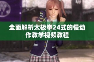 全面解析太极拳24式的慢动作教学视频教程