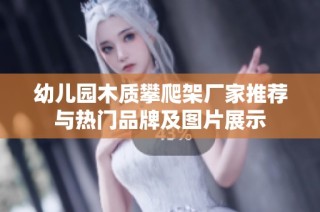 幼儿园木质攀爬架厂家推荐与热门品牌及图片展示