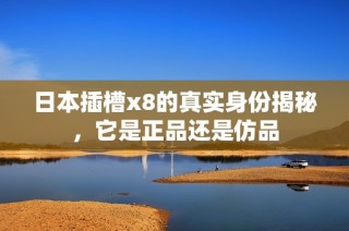 日本插槽x8的真实身份揭秘，它是正品还是仿品