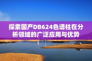 探索国产DB624色谱柱在分析领域的广泛应用与优势