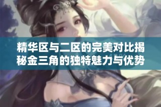 精华区与二区的完美对比揭秘金三角的独特魅力与优势分析