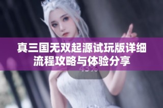 真三国无双起源试玩版详细流程攻略与体验分享
