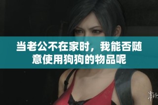 当老公不在家时，我能否随意使用狗狗的物品呢