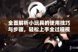 全面解析小玩具的使用技巧与步骤，轻松上手全过程视频教学
