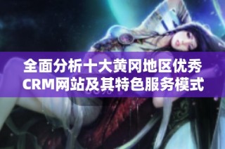全面分析十大黄冈地区优秀CRM网站及其特色服务模式