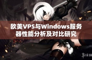 欧美VPS与Windows服务器性能分析及对比研究