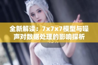 全新解读：7x7x7模型与噪声对数据处理的影响探析