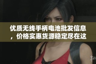 优质无线手柄电池批发信息，价格实惠货源稳定尽在这里