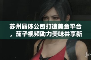 苏州晶体公司打造美食平台，茄子视频助力美味共享新体验