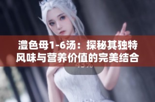 澧色母1-6汤：探秘其独特风味与营养价值的完美结合