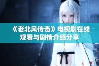 《老北风传奇》电视剧在线观看与剧情介绍分享