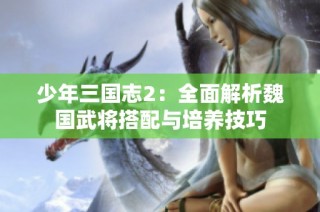 少年三国志2：全面解析魏国武将搭配与培养技巧
