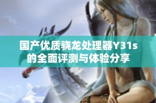 国产优质骁龙处理器Y31s的全面评测与体验分享