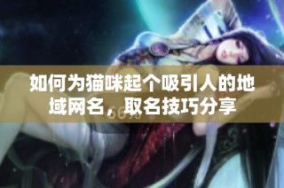 如何为猫咪起个吸引人的地域网名，取名技巧分享
