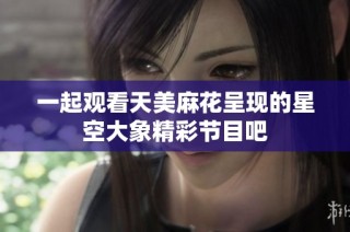 一起观看天美麻花呈现的星空大象精彩节目吧