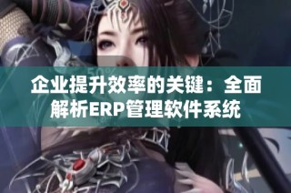 企业提升效率的关键：全面解析ERP管理软件系统