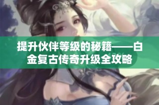 提升伙伴等级的秘籍——白金复古传奇升级全攻略