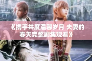 《携手共度温馨岁月 夫妻的春天完整剧集观看》