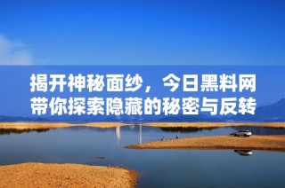 揭开神秘面纱，今日黑料网带你探索隐藏的秘密与反转故事