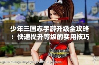 少年三国志手游升级全攻略：快速提升等级的实用技巧大揭秘