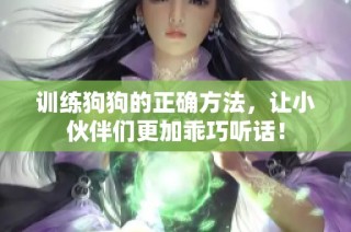 训练狗狗的正确方法，让小伙伴们更加乖巧听话！