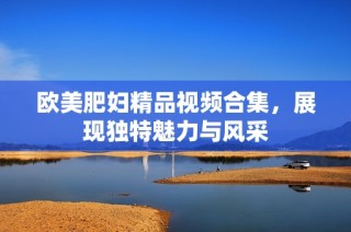 欧美肥妇精品视频合集，展现独特魅力与风采